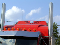 Flame Wingsb.JPG