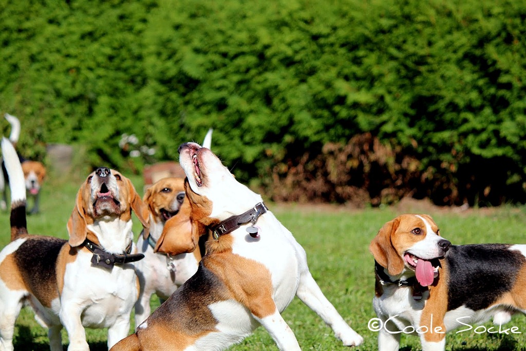 [IMG_4075%255B3%255D.jpg]