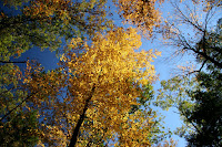 IMG_2288.JPG