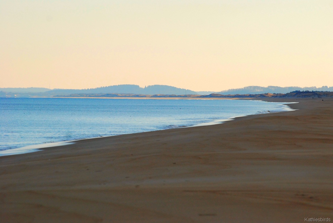 [9.%2520beach%2520south%2520view-kab%255B4%255D.jpg]