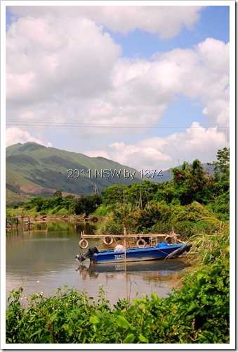 DSC_0878 DSC_0878