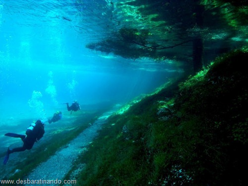 Green Lake parque submerso austria desbaratinando (8) Green Lake parque submerso austria desbaratinando (8)