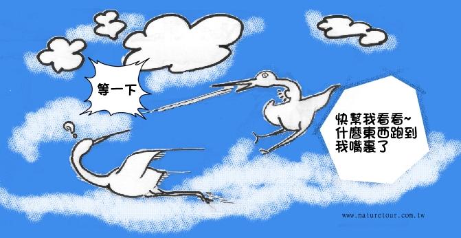 jump_5.JPG