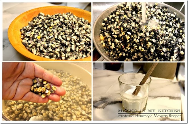 Blue Corn Masa 1c Blue Corn Masa 1c