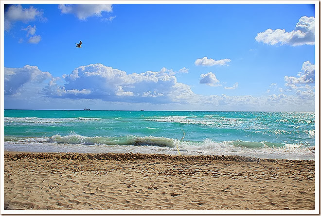 beach-copyright-free-pictures-9 (788)