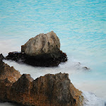 DSC_8886.JPG