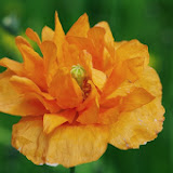 IMGP1022.JPG