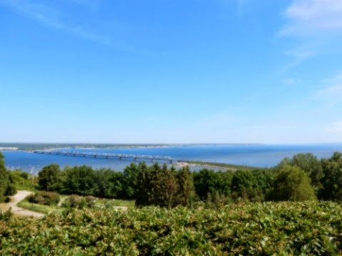 DSCN1951.jpg DSCN1951