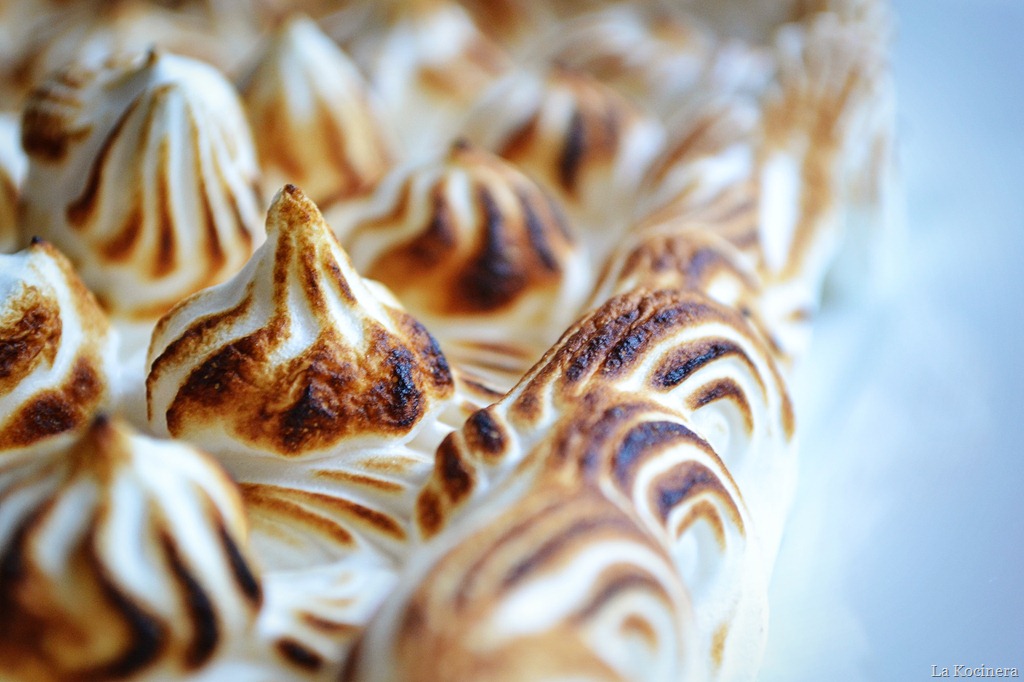[torched%2520meringue%25203%255B21%255D.jpg]