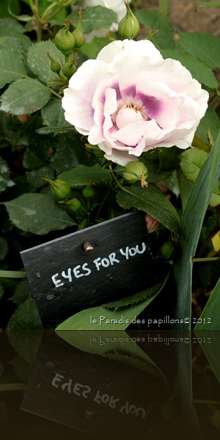 IMG_1025 IMG_1025