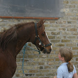 Album weergeven