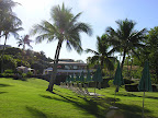 DSCN7498.JPG