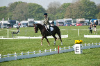 Mid morning dressage at the Mitsubishi Grassroots