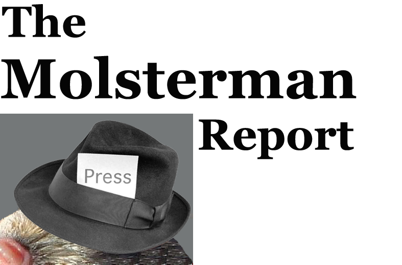 [the_molsterman_report_copy%255B8%255D.png]