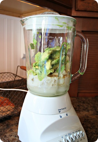 blender ice cream blender ice cream