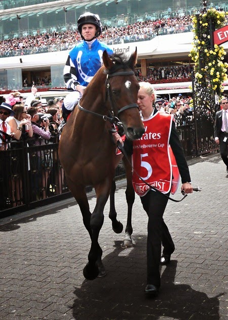 protectionist 2