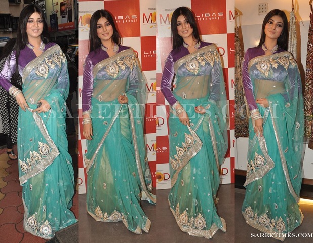 [Ayesha_Takia_Designer_Shimmer_Saree%255B3%255D.jpg]