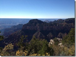 IMG_1300 IMG_1300