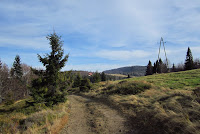 IMG_0320.JPG
