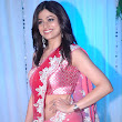 Esha Deol\'s Wedding Reception 2.jpg