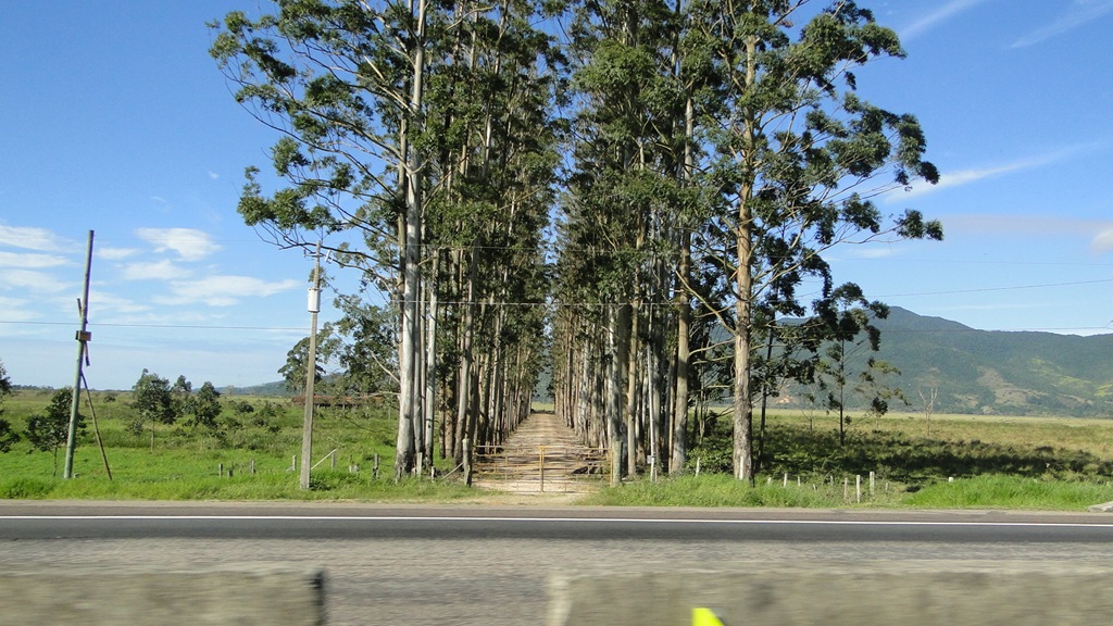 [DSC09207%255B3%255D.jpg]