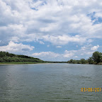 IMG_5519.JPG