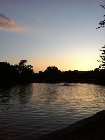 IMG_0180 IMG_0180
