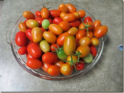 20140524_Tomatoes
