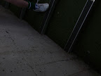 DSCF0147.jpg