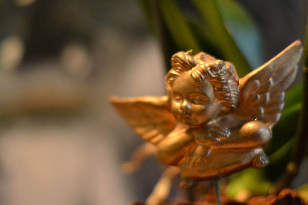 [DSC_0007%255B9%255D.jpg]