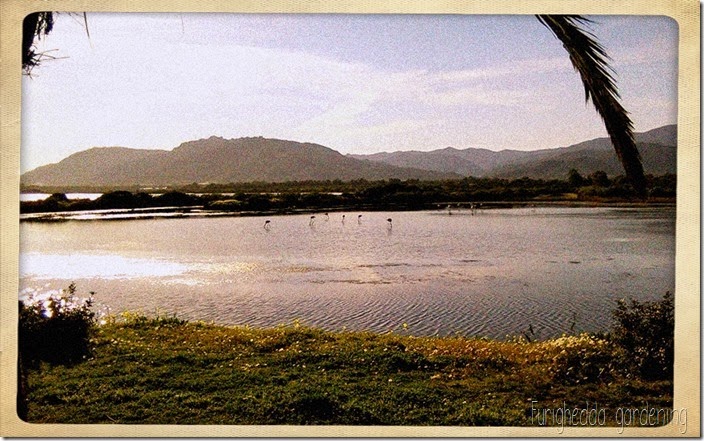 Foto 1 Foto 1