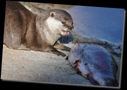 You're all mine! DSC_0454