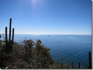 IMG_7202 IMG_7202