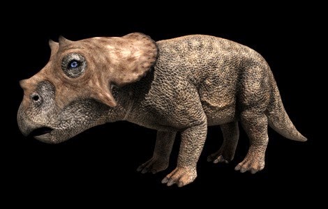[Triceratops-beb6.jpg]