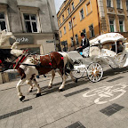 img_7676 (Modified in GIMP Image Editor) (Large).jpg