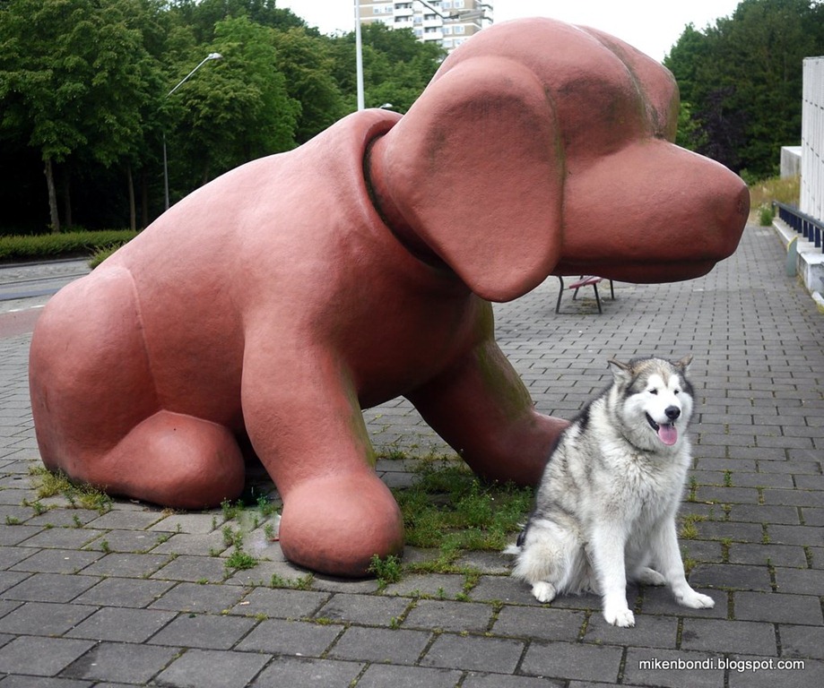 [Rembrandt%2520Park%2520hounds%2520%25281%2529%255B5%255D.jpg]