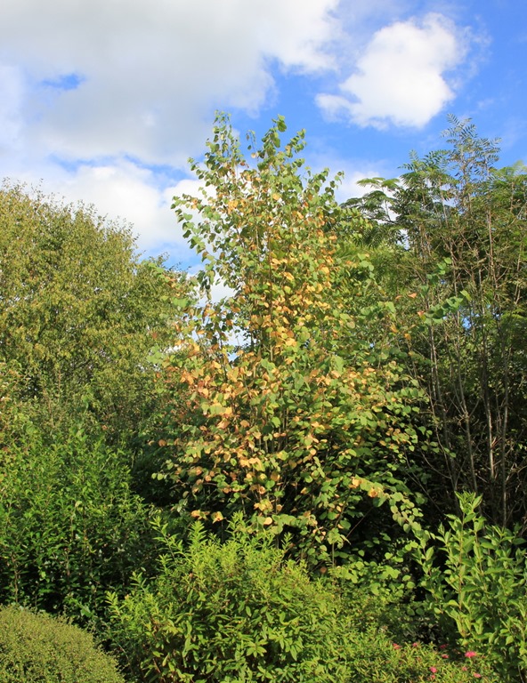[IMG_2155%255B4%255D.jpg]