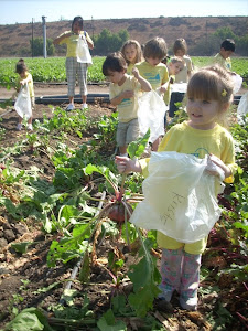 I picked it all by myself!