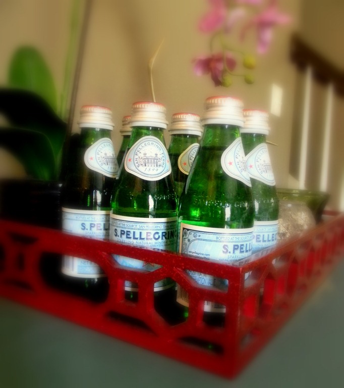 [tray%2520and%2520pellegrino%255B5%255D.jpg]