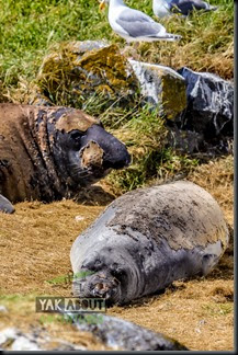 (c)Worldwildadventures-6099 (c)Worldwildadventures-6099