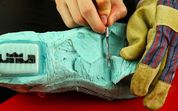 LeBron Anatomy Nike LeBron 12 Cut into Pieces