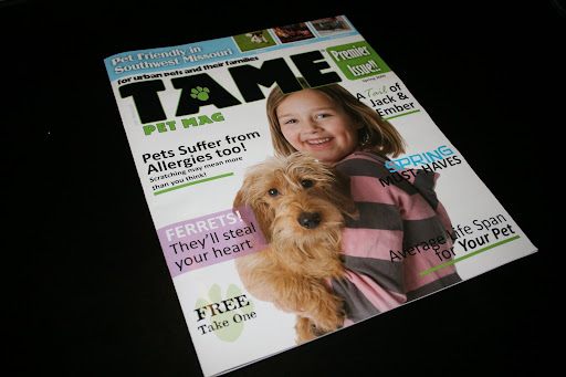 The premiere issue of TAME, available in various outlets. (photo credit: James Mulvenon)