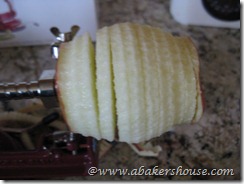apple slicer apple slicer