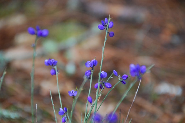 [DSC_0305%255B2%255D.jpg]