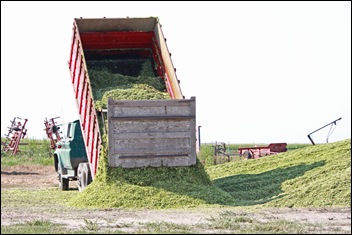 IMG_4075 IMG_4075