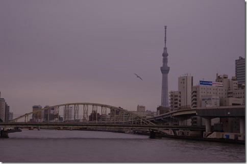IMGP2580 IMGP2580