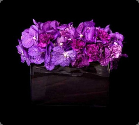 ovando ovandos-pick-500 (1)