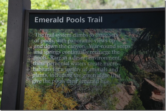 05-03-13 B Trail Emerald Pools Kayenta 003