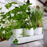 DSC00312.jpg