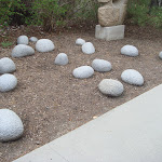 DSC01838.JPG